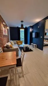 Apartamenty Barlickiego - 别尔斯克-比亚拉