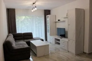 City Center Cozy Apartments near Shops and Restaurants in Suceava - Scheia