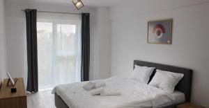 City Center Cozy Apartments near Shops and Restaurants in Suceava