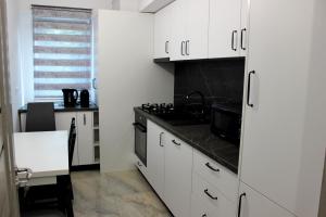 City Center Cozy Apartments near Shops and Restaurants in Suceava