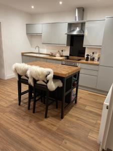 Artsy Minimalist Suite