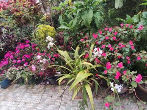 Solys Villa Homestay