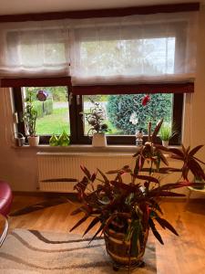 Elb- Havel Ferienhaus