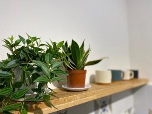 Niah Cozy Home - Hoan Kiem Lake