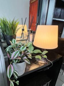 Cozy Central Jakarta Apartment