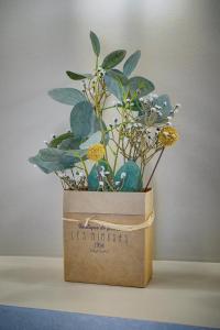 Joli Studio TERRASSE, Venizelos-CANNES CENTRE A0B169