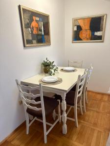 Apartman Centar Novi Sad-free parking