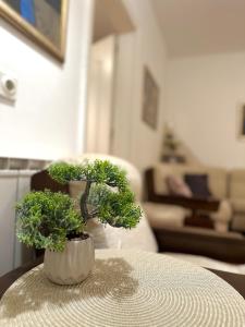 Apartman Centar Novi Sad-free parking