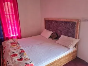 Wachan Guest House Hunder, Nubra Valley - Charāsa