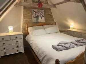 15th Century Thatched Cottage - 伊里斯