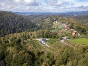 Zidanica sredi dolenjskih gričev - V gaj