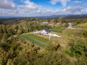 Zidanica sredi dolenjskih gričev - V gaj 