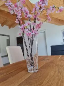 Jungfrau Penthouse - Aare Jungfrau AG - Gsteigwiler