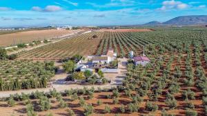 Cortijo del Coco 1 Fuente de Piedra by Ruralidays