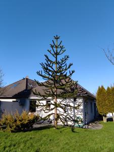 Ferienwohnung Steuerbord