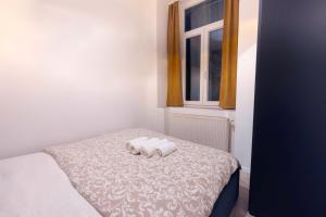 Central n Cozy T8 Apartment w 2BEDRM