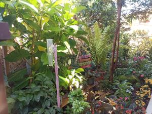 Suites Pico do Cristal