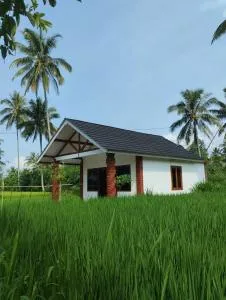 Rice Field inn - Lombok - Kotaraja
