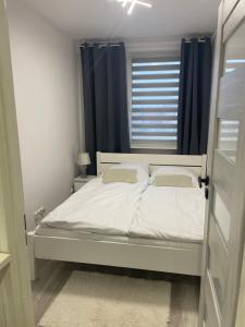 Apartament 2 pokojowy w Centrum Miasta