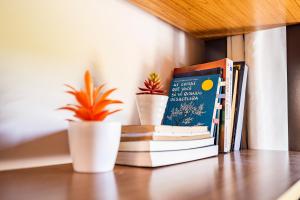 Cabana Perfeita a 800m da Praia - Lareira externa, Quintal Amplo, Pet Friendly, Ar condicionado, Netflix e Conforto completo