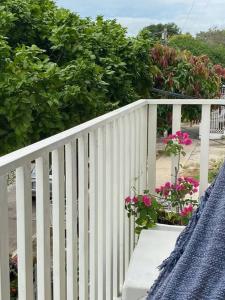 Apto Amoblado Balcones