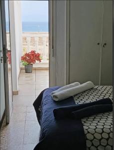 Magic view facing MontanaRoja