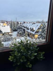 Trip Baza Sunny Apartment Pardałówka 41