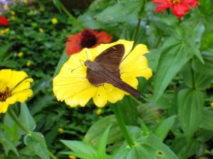 Stilvolles Apartment in Las Lajas