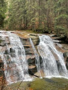 Apartman Harrachov - Resident