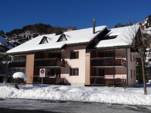 Apartment Blumenweg 2 by Interhome