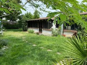 La cabane au fond du jardin - Saint-Denis-en-Val
