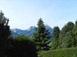 Apartment Les Hivernants - 1- Stock rechts by Interhome