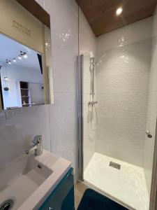 Lion dor 23 - Chambre meublée et équipée en centre-ville