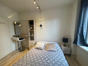 Lion dor 23 - Chambre meublée et équipée en centre-ville