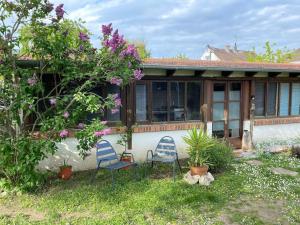 Appartements La cabane au fond du jardin : photos des chambres