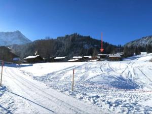 Apartment Silberdistel by Interhome