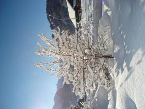 Apartment Aegertenstrasse 10 by Interhome