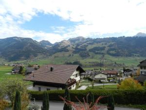 Apartment Weidli- Chalet by Interhome