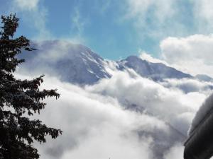 Apartment Bärgblüemli 2- OG Ost by Interhome