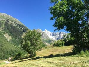 Apartment Saphir by Interhome