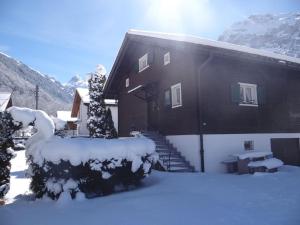 Apartment Chalet Fluegärtli by Interhome