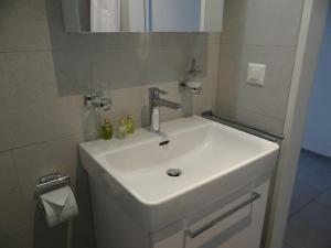 Apartment Alpenstrasse 1 by Interhome