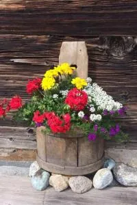 Apartment Antrona by Interhome - Bognanco