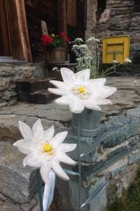 Apartment Antrona by Interhome