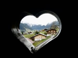 Apartment Chalet Waldchutz - Wohnung Anax by Interhome