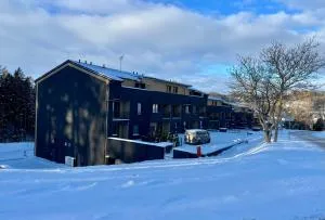 Luční apartmány Dobromysl a Laskavec - Černý Dŭl