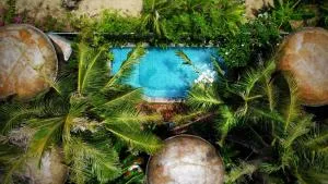 Cocohut Hoi An Homestay - An Lương (1)