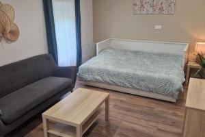Appartements Studio de plain-pied : photos des chambres
