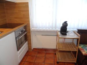 Apartment Birkenstrasse 52 Wohnung 2 by Interhome