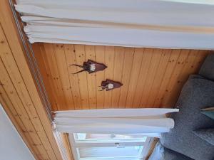 Apartment Bergluft by Interhome